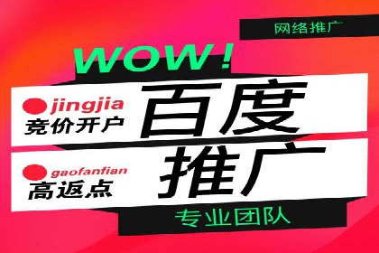 百度竞价推广公司成功案例：如何快速提升品牌曝光度